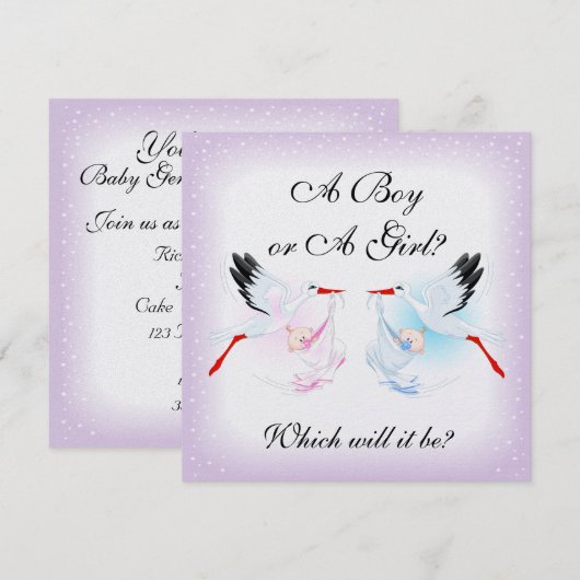 Ooievaars en baby's Baby Gender Reveal Party Invit Kaart (Voorkant / Achterkant)