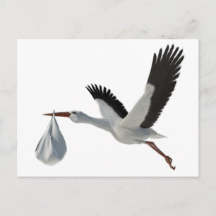 ooievaarsbundel briefkaart