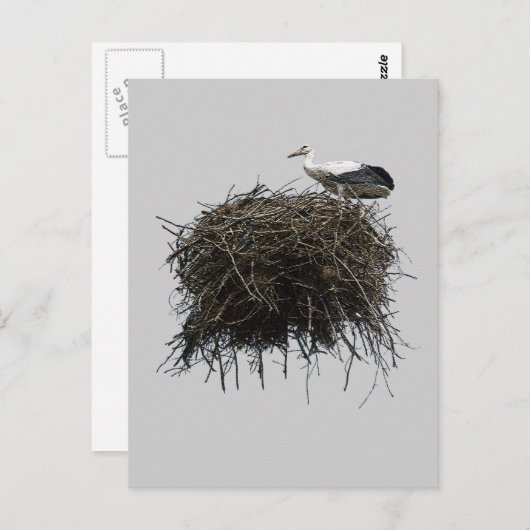 ooievaarsnest briefkaart (Voorkant / Achterkant)