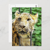 Ooit zo'n dag gehad? briefkaart (Voorkant / Achterkant)