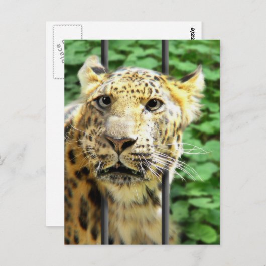 Ooit zo'n dag gehad? briefkaart (Voorkant / Achterkant)