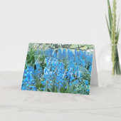 Ook dit zal de blauwvintonijn van het citaat doorg kaart (Voorkant)