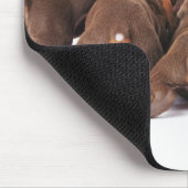 Ook Doberman Pincher. Middelgrote als huishond Muismat (Hoek)