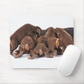 Ook Doberman Pincher. Middelgrote als huishond Muismat (Met muis)