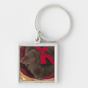 Ook Doberman Pincher. Middelgrote als huishond Sleutelhanger