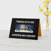 OOK EEN HALLOWEEN EN EEN BIRTHDAY. LUCK JE! KAART (Gele Bloem)