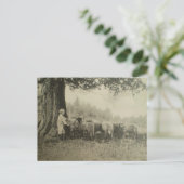 Oom Bart en de Schapen Briefkaart (Staand voorkant)