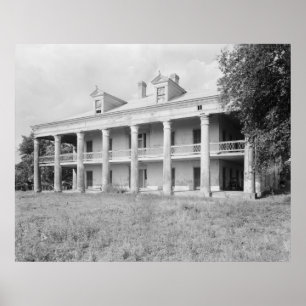 Oom Sam Plantation Poster