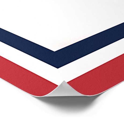 Oom Sam wil dat je Sushi eet Poster (Hoek)