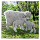 "Oona & haar tweeling" Tegeltje (Voorkant)