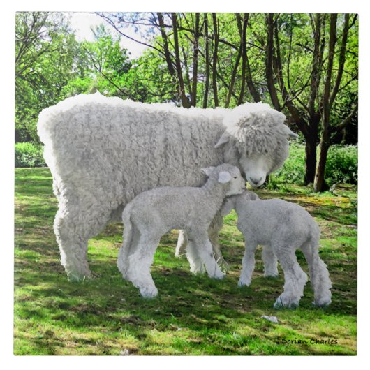 "Oona & haar tweeling" Tegeltje (Voorkant)