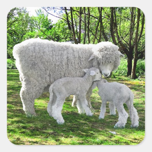 "Oona & haar tweeling" Vierkante Sticker (Voorkant)