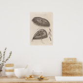 Oonalashka petten, Alaska Poster (Keuken)