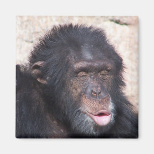 ooo en grappig gezicht magneet