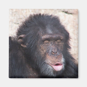 Ooo ooo ooo grappig gezicht magneet