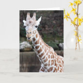 Oooh, somebody die ouder worden! kaart (Gele Bloem)