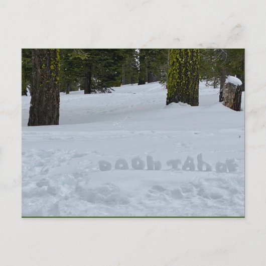 Oooh Tahoe Briefkaart (Voorkant)