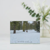 Oooh Tahoe Forest Briefkaart (Staand voorkant)