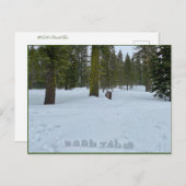 Oooh Tahoe Forest Briefkaart (Voorkant / Achterkant)