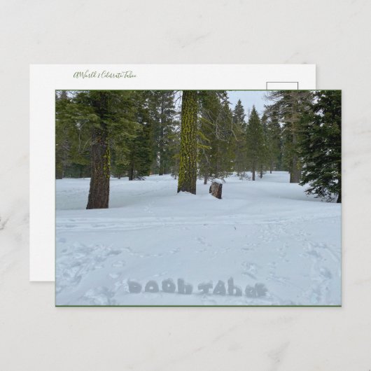 Oooh Tahoe Forest Briefkaart (Voorkant / Achterkant)