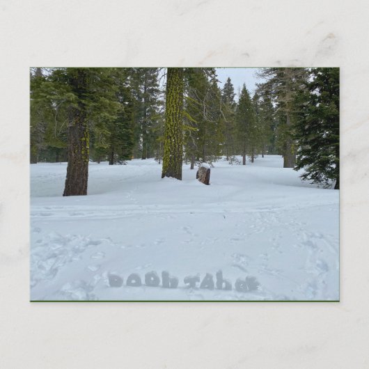 Oooh Tahoe Forest Briefkaart (Voorkant)