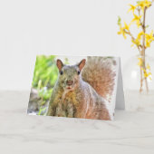 Ooops Ik heb je verjaardagskaart gemist Kaart (Gele Bloem)