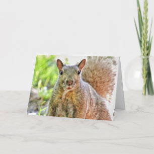 Ooops Ik heb je verjaardagskaart gemist Kaart