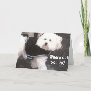 OOPS, VERGETEN UW GROTE DAG KAART