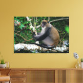 Oor getagde Samangoaap Canvas Afdruk (Insitu (Woonkamer))