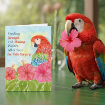 Oorbuisoperatie Genezing Rode Ara's, Hibiscus