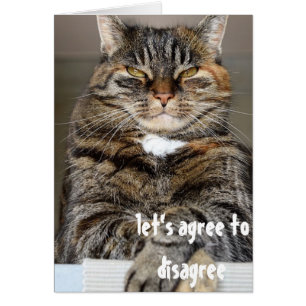 Oordelende boze kat grappig akkoord om het oneens 