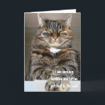 Oordelende Boze Kat Kwijt Trouw Uitnodiging Humor<br><div class="desc">Deze wenskaart kan worden gepersonaliseerd door op de knop "aanpassen" te klikken en uw eigen tekst toe te voegen.</div>