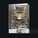 Oordelende Boze Kat Kwijt Verloren Trouw Uitnodigi<br><div class="desc">Deze kerstkaart kan worden gepersonaliseerd door op de knop "aanpassen" te klikken en uw eigen tekst toe te voegen.</div>