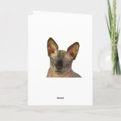 Oordelende Sfinx Kat Gefeliciteerd Bedankkaart (Achterkant)