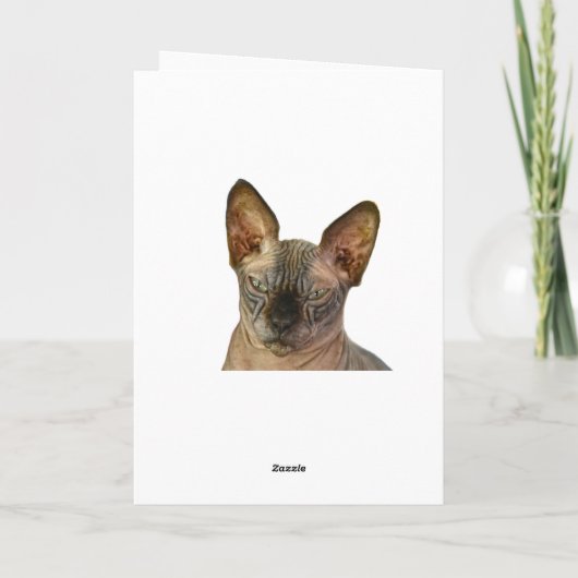 Oordelende Sfinx Kat Gefeliciteerd Bedankkaart (Achterkant)