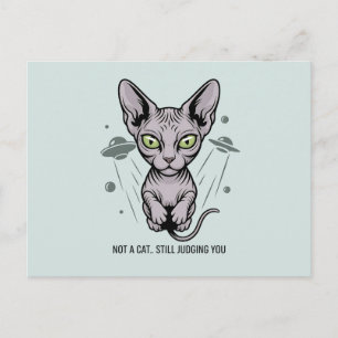 Oordelende Sphynx Kat in Ruimte Kunst Briefkaart