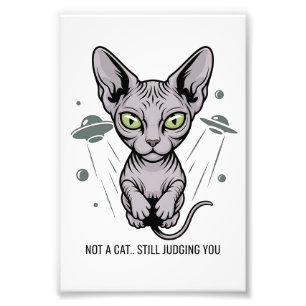 Oordelende Sphynx Kat in Ruimte Kunst Foto Afdruk