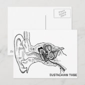 Oordiagram Briefkaart (Voorkant / Achterkant)