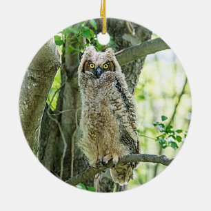 Oorguilige uil keramisch ornament