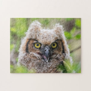 Oorguilige Uil Legpuzzel