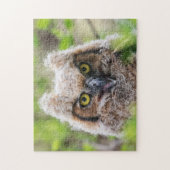 Oorguilige Uil Legpuzzel (Verticaal)