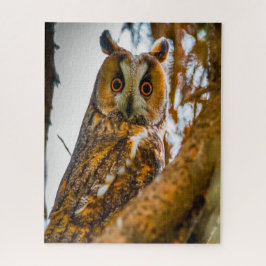 Oorlangoeruil- Roofvogels. Legpuzzel