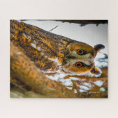 Oorlangoeruil- Roofvogels. Legpuzzel (Horizontaal)