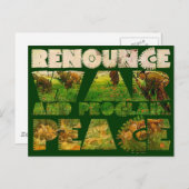 Oorlog afwijzen en vrede eisen briefkaart (Voorkant / Achterkant)