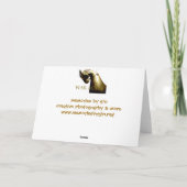 Oorlogspaard geschenken & groeten kaart (Achterkant)