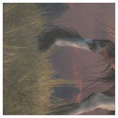 oorlogspaard stof (Swatch)