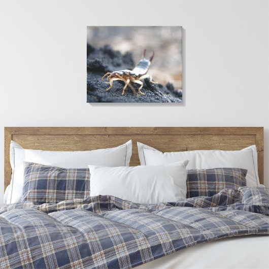 oorpruik, dermaptera canvas afdruk (Insitu (Slaapkamer))