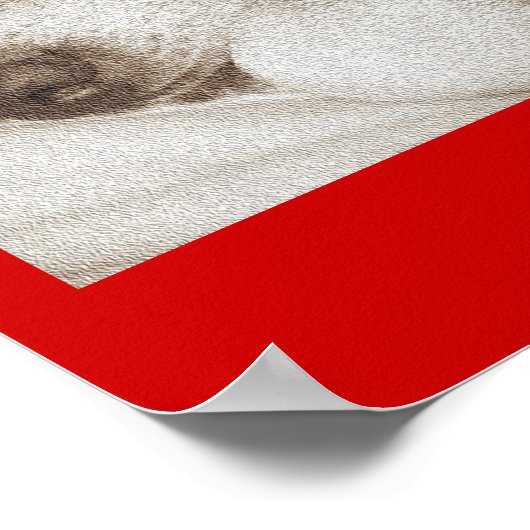 oorspronkelijk hondengezelschapsdier sympathie poster (Hoek)