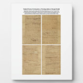 OORSPRONKELIJK Ruw Ontwerpverklaring van onafhanke Fotoplaat (Voorkant)