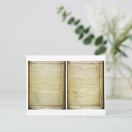 OORSPRONKELIJKE 14e wijziging Amerikaanse grondwet Briefkaart (Staand voorkant)